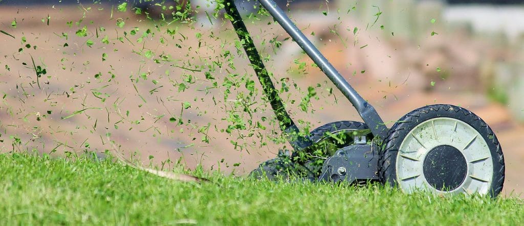 Mettre les herbes au compost